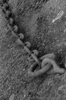 DSC01771 BW