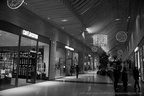 DSC01772 BW