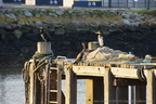 DSC01773
