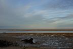 DSC01777