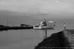 DSC01778 BW