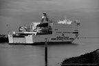 DSC01779 BW