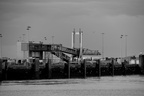DSC01783 BW