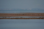 DSC01792