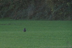 DSC00868