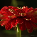 DSC01508