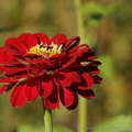 DSC01495