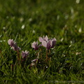 DSC01502