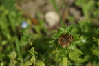 DSC00147