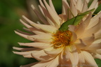 DSC00153