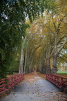 DSC00164