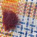 DSC01248