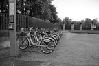 DSC00789 BW