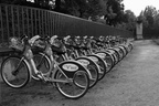 DSC00790 BW