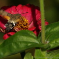 DSC09920