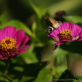 DSC09898