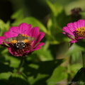 DSC09901