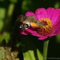DSC09904