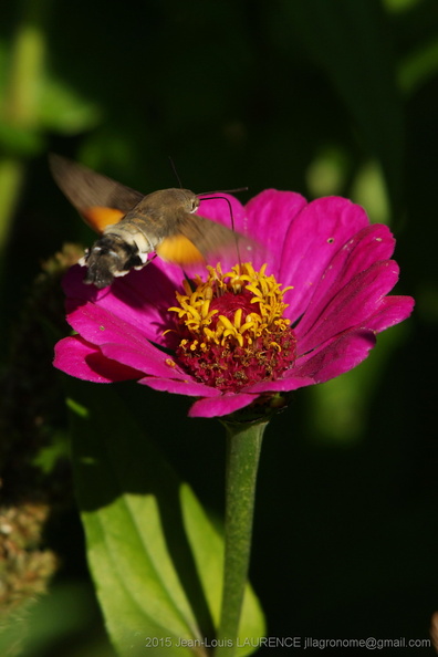 DSC09905.JPG