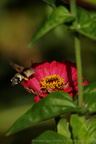DSC09918