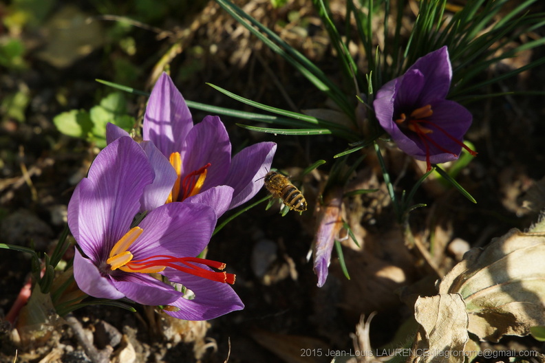DSC09894.JPG