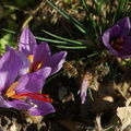 DSC09894