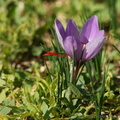 DSC09865
