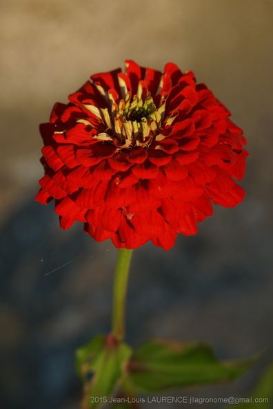 DSC09738.JPG