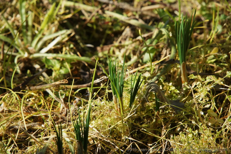 DSC09703.JPG
