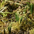 DSC09703