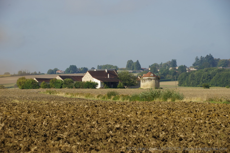 DSC05822.JPG