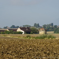 DSC05822