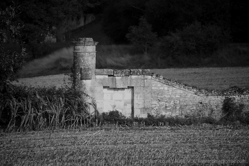 DSC05825_BW.JPG