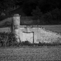 DSC05825 BW