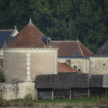 DSC05826