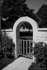 DSC05420 BW (3357 visites) DSC05420 BW