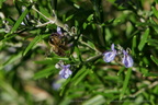 DSC08977