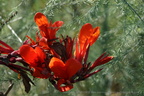 DSC08961