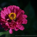 DSC08959