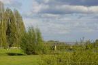  DSC2356