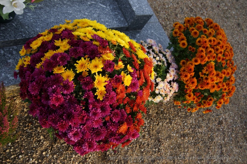 DSC07544.JPG
