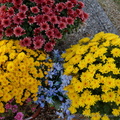 DSC07546