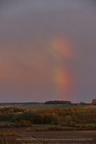 DSC07628