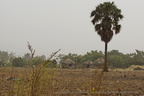  DSC5903