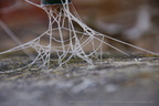 DSC07909