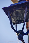 DSC07919