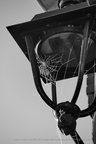 DSC07919 BW