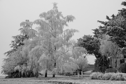 DSC08037 BW