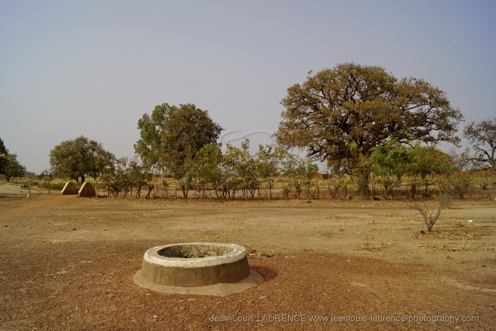 DSC8463 (1921 visites) DSC8463