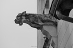  DSC0983 BW